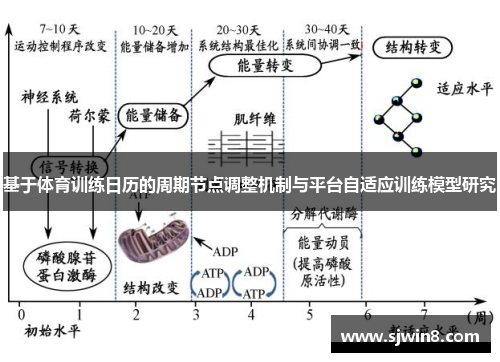 基于体育训练日历的周期节点调整机制与平台自适应训练模型研究