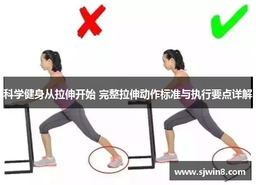 科学健身从拉伸开始 完整拉伸动作标准与执行要点详解